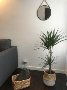 Fotografie z fotogalerie ubytování M & P APARTMENT MUSEO v destinaci Seville
