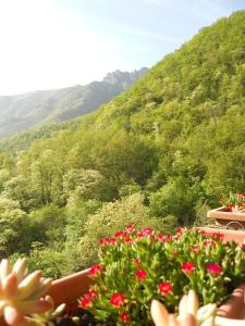 Fotografia z galérie ubytovania B&B Rossociliegia v destinácii Castelbianco