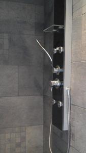 a shower with a glass door in a bathroom at Chalet la Petite Perle in Gérardmer