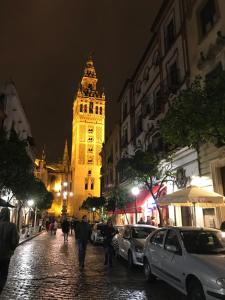 Fotografie z fotogalerie ubytování M & P APARTMENT MUSEO v destinaci Seville
