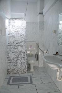 セリアニティカにあるHotel Kanelli Beachのバスルーム(シャワー、トイレ、シンク付)