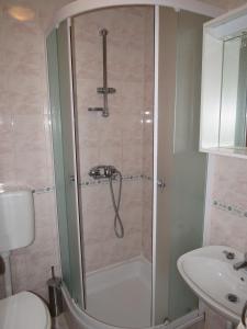 a bathroom with a shower and a toilet and a sink at Apartments Lumbarda in Lumbarda