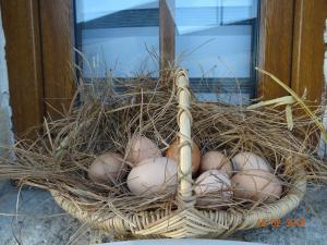 a bunch of eggs in a nest in a basket at La ferme aux chats in Formigny