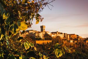 a view of a city with a castle in the background at Terrazza sull'infinito in Recanati