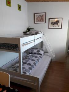 ein Etagenbett in der Ecke eines Zimmers in der Unterkunft Fornhagi 2 in Akureyri