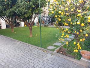 Jardin de l'établissement B&B ALDA