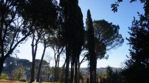 FaugliaにあるVilla Silvestriの公園並木