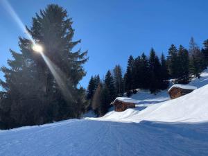 Wei Wei's Hostel im Winter
