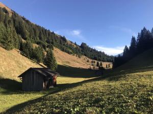 Naturlandschaft in der Nähe des Hostels