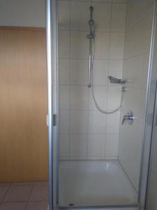 a shower with a glass door in a bathroom at Lehmannshof Ferienwohnungen in Zell am Harmersbach +33 photos