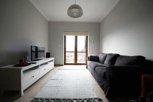 uma sala de estar com um sofá e uma televisão em Estrela da Serra - Alojamento Local em Penhas da Saúde