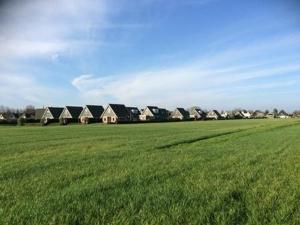 a field of green grass with a row of houses at Bello in Opperdoes