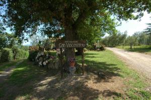 Zahrada ubytování Agriturismo San Vincenzo