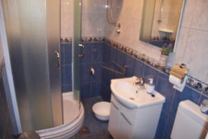 Koupelna v ubytování Apartments Carmen Vinisce