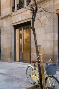 a bike parked next to a tree in front of a building at Som Nit Born in Barcelona