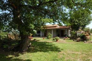 Zahrada ubytování Agriturismo San Vincenzo