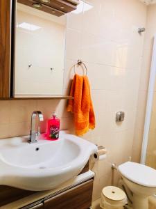 a bathroom with a sink and a toilet at Aconchegante apartamento a beira mar barra velha in Barra Velha