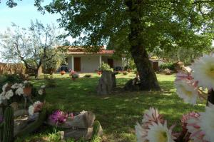 Zahrada ubytování Agriturismo San Vincenzo