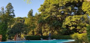 a swimming pool in a yard with trees at Posada El Prado in Salta