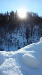 Ferienhof Schelchen im Winter