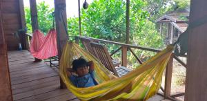 Gallery image of Nature House Eco-Lodge& Trekking in Banlung