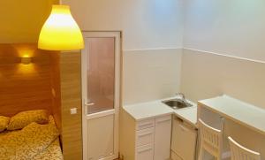 uma pequena cozinha com um lavatório e um candeeiro em Smart apartments in the city center -5 min to the Opera House em Lviv