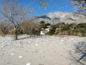 une plage rocheuse avec une montagne en arrière-plan dans l'établissement Tiki Rooms, à Marathokampos