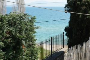 Naturlandskabet i nærheden af lejligheden