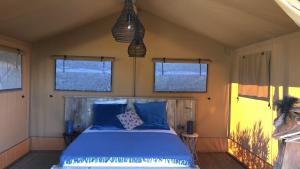 a bedroom with a bed with blue sheets and windows at Les Lodges Saint Pierre in Cap d'Agde +29 photos