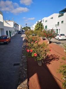 una strada con fiori in vasi sul lato di una strada di Apartamento Anaca 2 a Playa Blanca