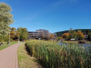 un camino junto a un lago con un edificio en el fondo en Apartment am Kranichsee Vier Jahreszeiten, en Hahnenklee-Bockswiese