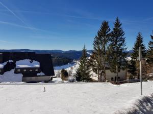 レンツキルヒにあるFerienwohnung Saigの雪の中の建物