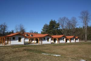 a row of houses with red roof at Penzion Kaminek in Nové Hrady