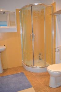 ein Bad mit einer Dusche und einem WC in der Unterkunft BURDANÓWKA in Skierbieszów