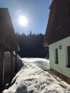 Príroda v okolí horskej chaty