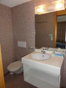 Ένα μπάνιο στο Hotel Blümlisalp