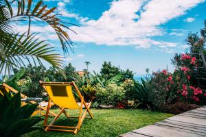 żółte krzesło siedzące na trawie blisko oceanu w obiekcie Casas Serenas w mieście Estreito da Calheta