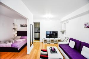 ママイアにあるStudio 15 Coral Residenceのリビングルーム(紫色のソファ、テレビ付)