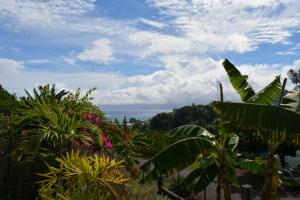 a view of the ocean from a garden with plants at Manuiti apartment - Punaauia - 2 bdr - Wifi - AC - Pool - up to 7 people in Punaauia