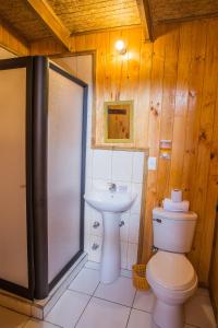 a bathroom with a toilet and a sink at Refugio Ruka Cümelen in Panguipulli