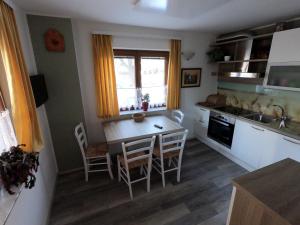 Kuchyň nebo kuchyňský kout v ubytování Apartma Lipa + 16 fotografií