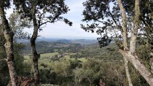 uma vista para um vale através das árvores em Las Navezuelas em Cazalla de la Sierra