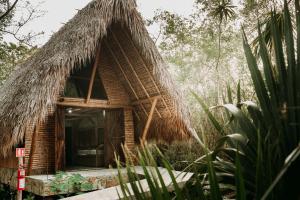 Gallery image of Selva Teenek Eco-Park in Ciudad Valles