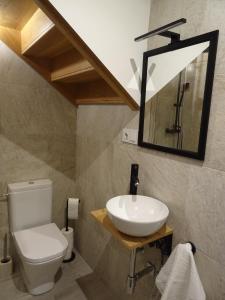 uma casa de banho com um lavatório, um WC e um espelho. em Apartamento Usuaia con jacuzzi em Lesaka