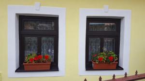 Fotografie z fotogalerie ubytování Lately renovated country house v destinaci Trenčín