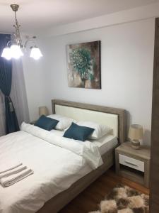 Un pat sau paturi într-o cameră la Roby apartament