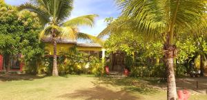 a yellow house with palm trees in front of it at Pousada Vida Mar in Barra Grande +44 photos