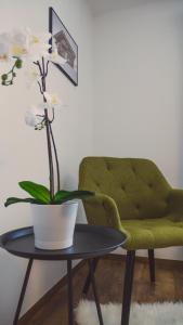 Posedenie v ubytovaní Apartment NinetyFour