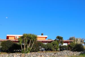 a building with palm trees and a stone wall at La Rosa dei Venti in Sennariolo