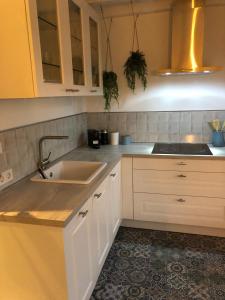 a kitchen with white cabinets and a sink at Boothuis Harderwijk in Harderwijk